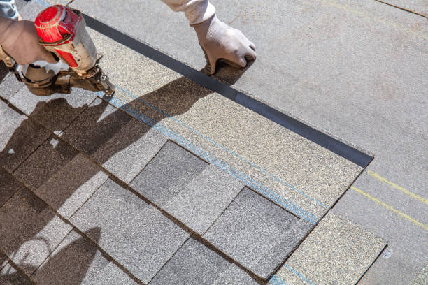 Best Storm Damage Roof Repair  in Newport, KY